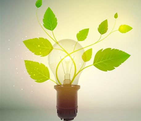 A proteção do meio ambiente deve estar presente em todos os atos da administração pública. Imagem: Divulgação