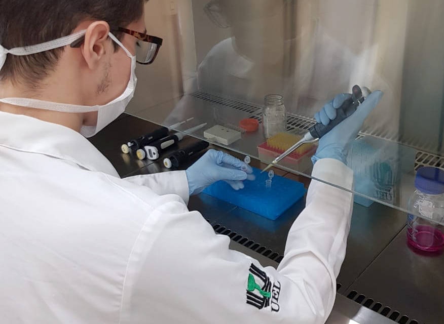 Pesquisa científica realizada na Universidade Estadual de Londrina (UEL). Foto: Agência UEL de Notícias/Divulgação