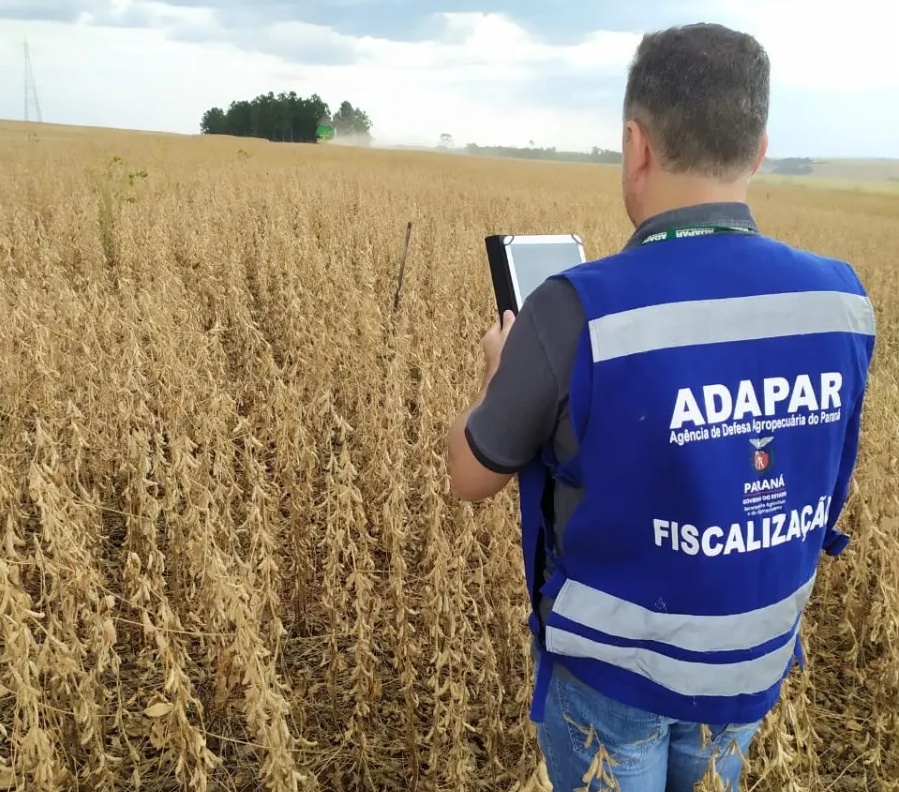 Trabalho de fiscalização realizado por servidor da Agência de Defesa Agropecuária do Paraná (Adapar). Foto: Agência Estadual de Notícias (AEN)