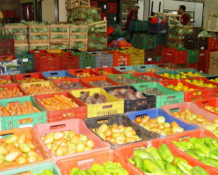 Unidade de Maringá das Centrais de Abastecimento do Paraná S.A. (Ceasa). Foto: Divulgação