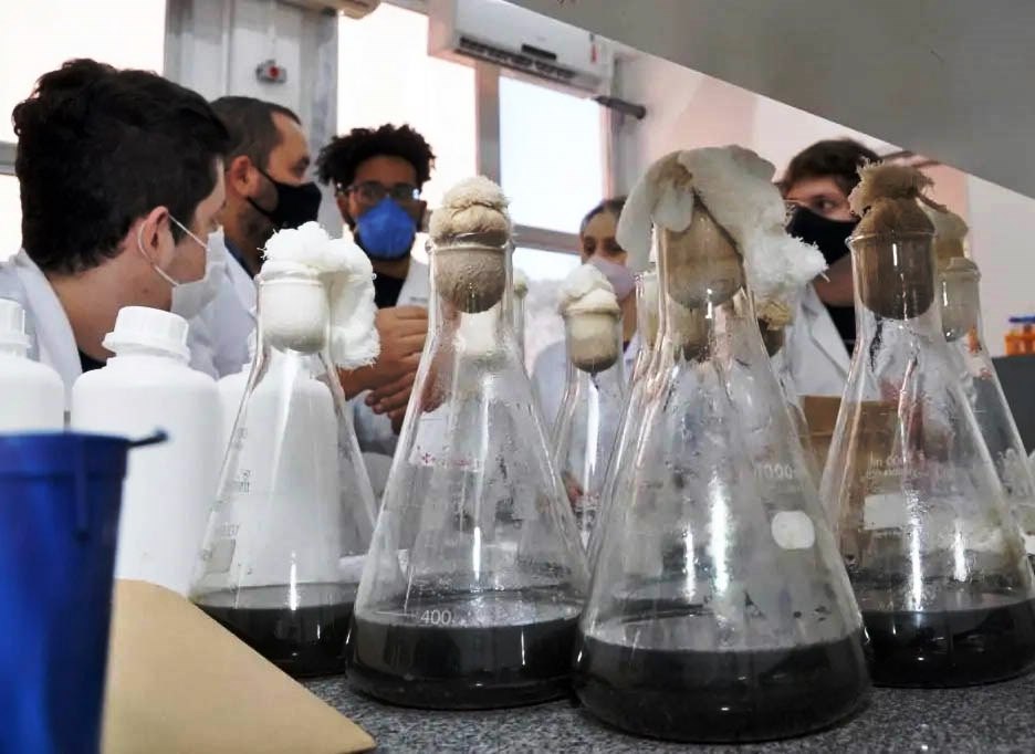 Alunos da Universidade Estadual de Londrina (UEL) fazem pesquisa em laboratório da instituição, que utiliza recursos do Fundo Paraná. Foto: Agência UEL de Notícias/Divulgação