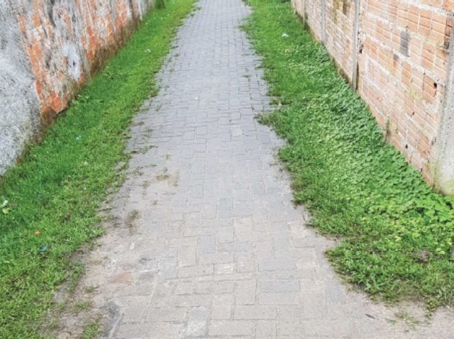 Proliferação de plantas em calçamento com "paver" na Ilha dos Valadares, em Paranaguá. Obra é executada com financiamento do BID. Foto: Divulgação TCE/PR