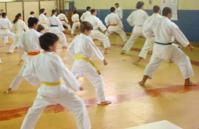 Aula de karatê. Foto: Divulgação