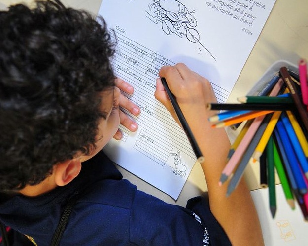 Fiscalizar a garantia de acesso das crianças à educação pública é atribuição do Tribunal de Contas do Estado do Paraná (TCE-PR). Foto: Agência Brasil/Divulgação