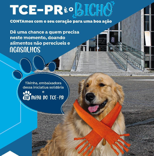 Tikinha como mascote da Campanha do Agasalho do TCE-PR deste ano