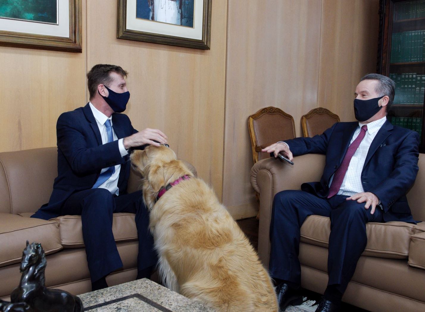 A cadela da raça Golden Retriever Tikinha, animal de estimação do presidente, conselheiro Fabio Camargo, acompanha visita do vice-presidente do TCE-RS, conselheiro Alexandre Postal. Foto: Denis Ferreira Neto/Divulgação TCE-PR