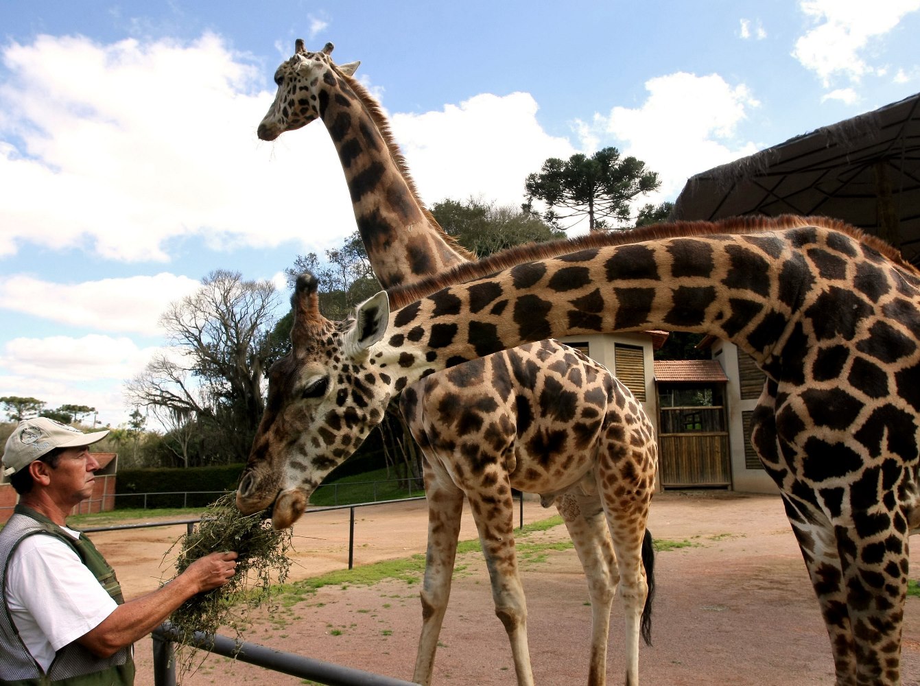 Zoológico de Curitiba, administrado pela Secretaria Municipal do Meio Ambiente. Foto: Orlando Kissner/Secretaria Municipal de Comunicação Social