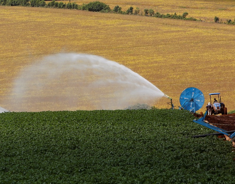 Lavoura de batata irrigada no Paraná: agricultura é uma das atividades que mais consomem reservas de água. Foto: Gilson Abreu/Agência Estadual de Notícias
