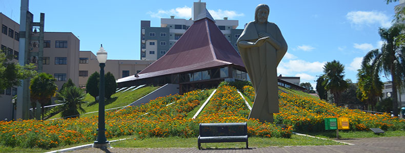 Vista de Palmas, município da região Sul do Paraná