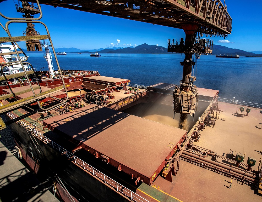 Carregamento de navio graneleiro no Porto de Paranaguá. Foto: Claudio Neves/Administração dos Portos de Paranaguá e Antonina - Divulgação
