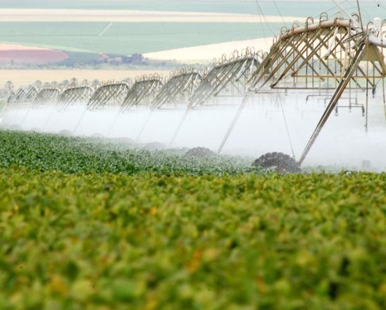 Lavoura irrigada: agricultura é uma das atividades que mais consomem reservas de água. Foto: Divulgação