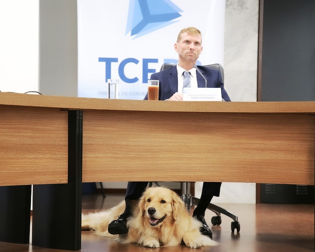 Acompanhado da cachorra Tikinha, seu animal de estimação, o conselheiro Fabio Camargo participa da primeira reunião de 2021 do Conselho Nacional dos Presidentes dos Tribunais de Contas (CNPTC), realizada por videoconferência. Foto: Dilton Leandro Vaz/Divulgação TCE-PR