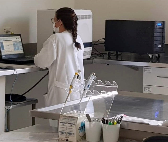O Centro de Diagnóstico Marcos Enrietti (CDME), da Agência de Defesa Agropecuária do Paraná (Adapar), é o primeiro laboratório da Rede Nacional de Agricultura a utilizar o PCR em Tempo Real (qPCR) para diagnóstico da raiva em herbívoros como rotina. A tecnologia substitui o uso de animais para isolamento do vírus na prova confirmatória e possibilita diagnóstico mais preciso e em menos tempo, entre outras vantagens. - Curitiba, 10/12/2021