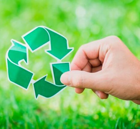 A proteção do meio ambiente deve estar presente em todos os atos da administração pública. Imagem: Divulgação