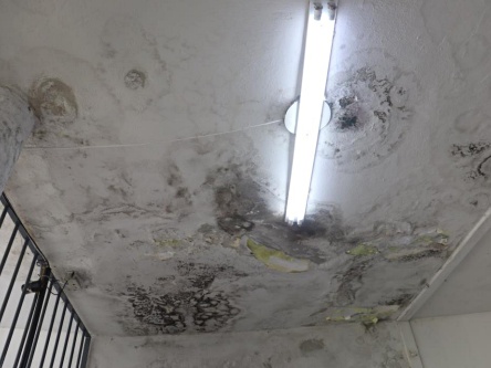Infiltração no teto na entrada da Unidade de Atendimento do Complexo Médico Penal de Pinhais, mantido pelo Departamento de Polícia Penal (Deppen) da Secretaria de Estado da Segurança Pública (Sesp-PR). Foto: TCE-PR