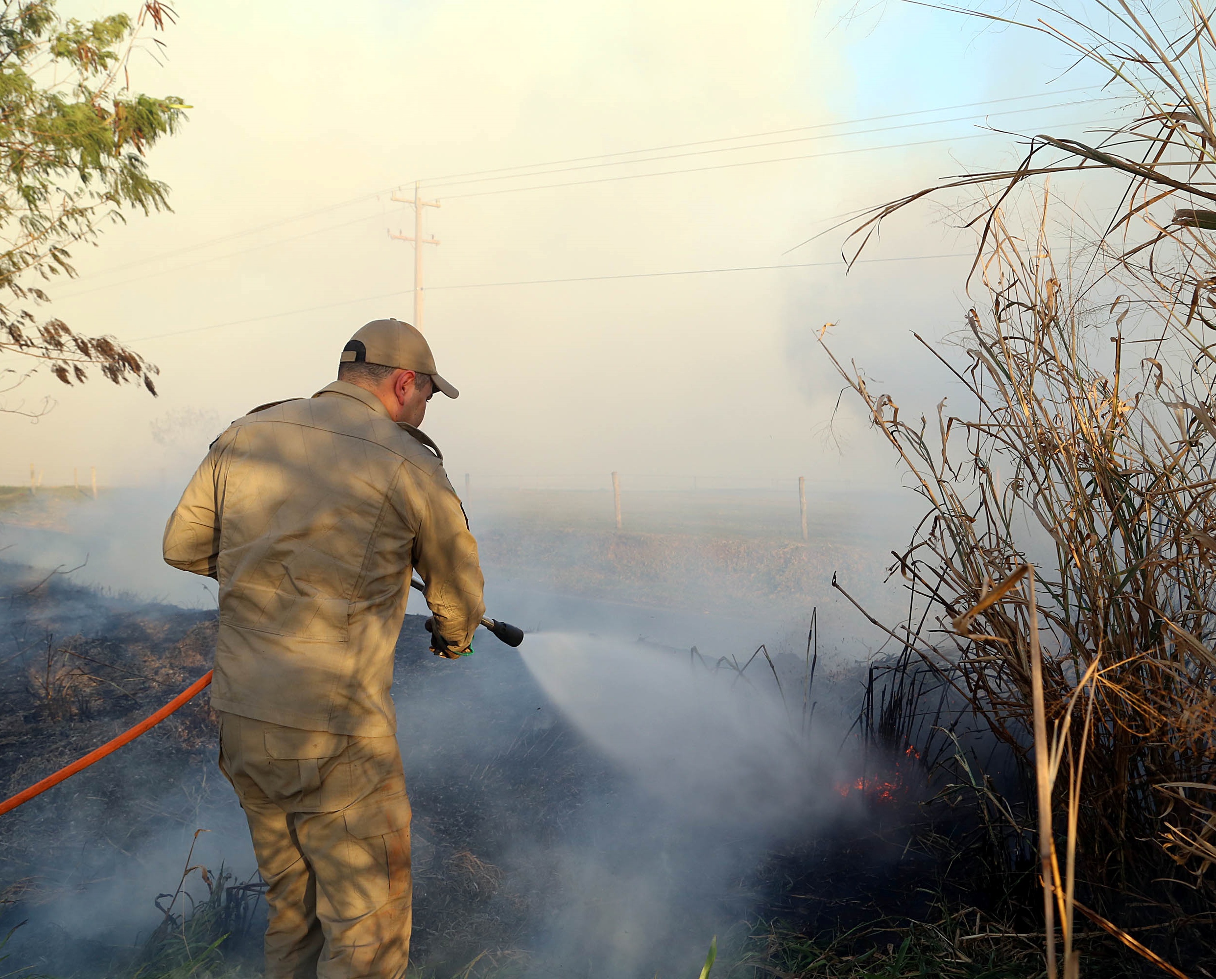 Integrante do Corpo de Bombeiros da Polícia Militar do Estado do Paraná em trabalho de combate a incêndio. Foto: Gilson Abreu/Agência Estadual de Notícias (AEN)