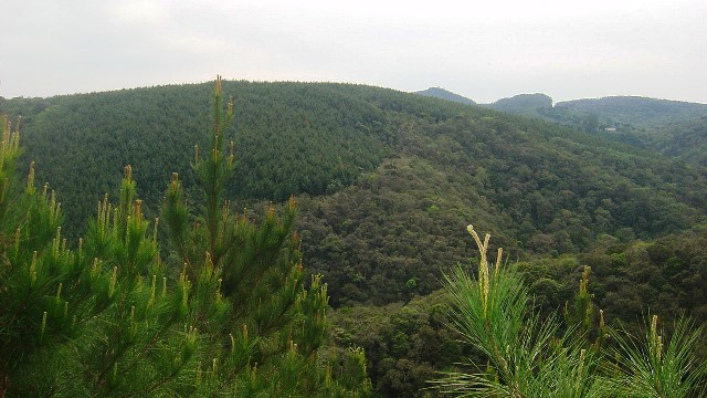 Área administrada pelo Instituto de Florestas do Paraná