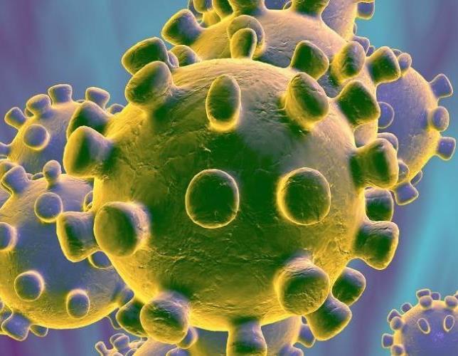 Decretação de estado de emergência em saúde permite aos gestores públicos adotar medidas extraordinárias para enfrentar a pandemia de Covid-19, causada pelo novo coronavírus. Imagem: Divulgação